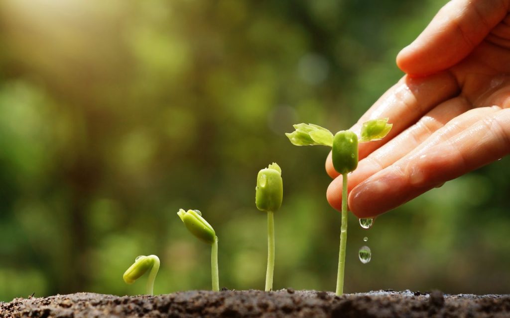 Transforming Agricultural Research with CABI Thesaurus and PoolParty